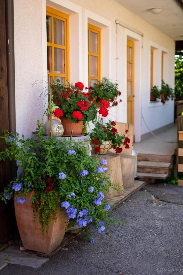 Gostilna Logar Hotemaze Exterior foto